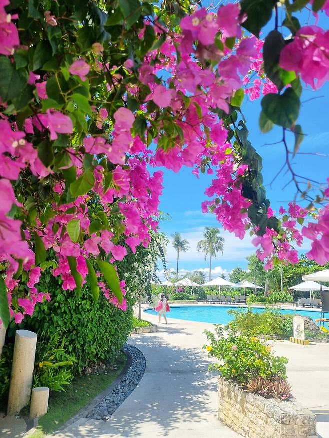 샹그릴라 기분이 좋아지는 수영하러 가는 길