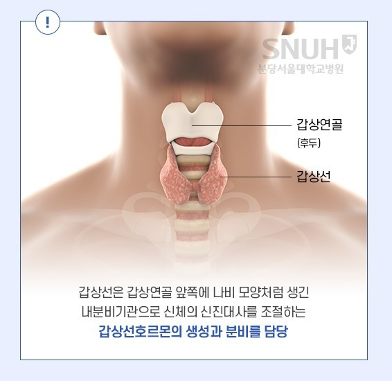 (분당서울대병원 제공) ⓒ News1 소봄이 기자