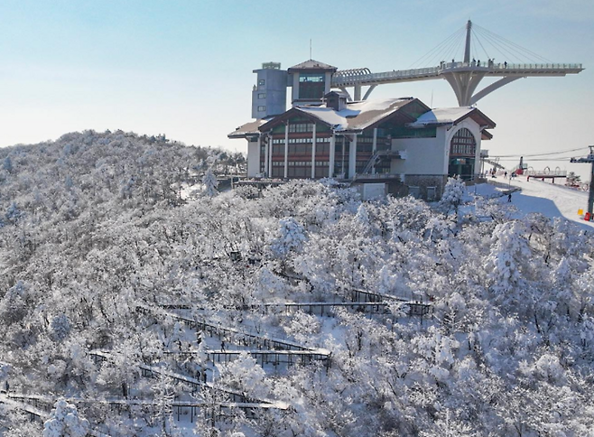 모나 용평리조트스키장 / 사진=용평리조트스키장 페이스북