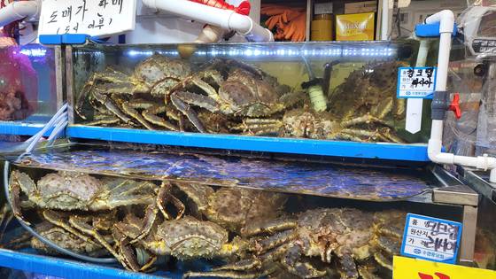 12일 찾은 노량진 수산시장의 킹크랩. 대부분 1kg당 6만5000원 정도에 팔리고 있었다. 〈사진=이지현 기자〉