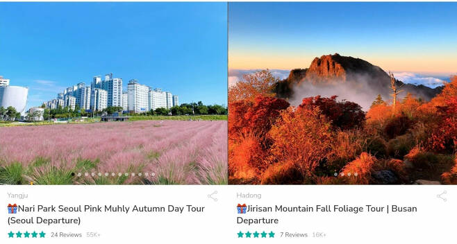 양주 나리공원 핑크뮬리 나들이, 지리산 단풍 여행 외국인 관광객 예약 페이지