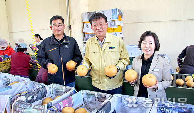 김윤배 경기 안성 양성농협 조합장(가운데)과 직원들이 공동선별작업 중인 배를 들어 보이고 있다.