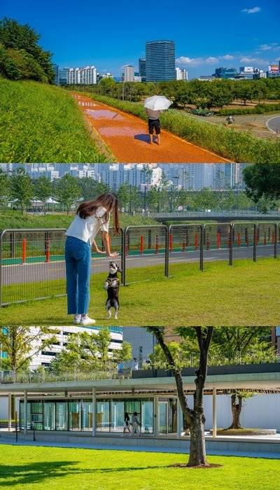 안양천 맨발 황톳길, 안양천 반려견 쉼터에서 견주와 반려견이  놀고 있다, 중앙회랑으로 둘러싸인 오목공원(위에서부터).
사진제공|서울관광재단