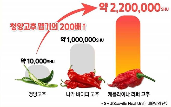 (사진, 식품의약품안전처)