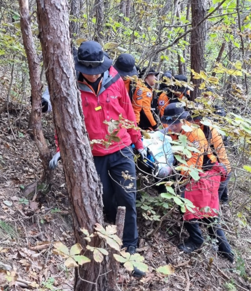 소방대원들이 지난 15일 경북 청송에서 버섯을 따러 집을 나섰다가 실종됐던 70대 남성 시신을 수습하고 있다. 경북도소방본부 제공