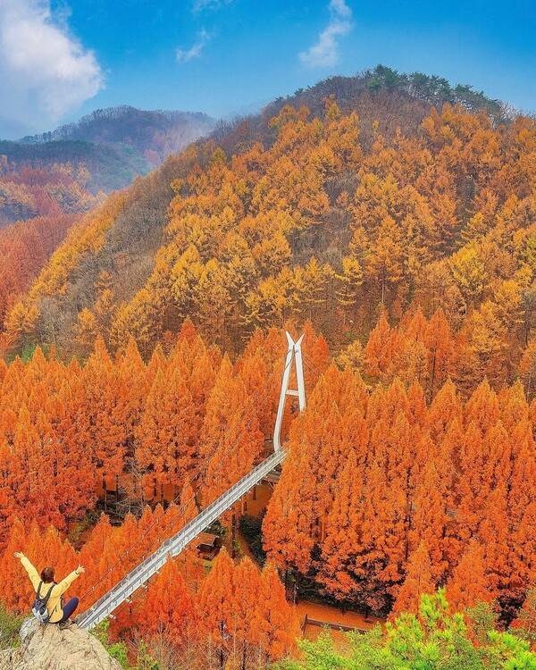 장태산 자연휴양림 @ssumji