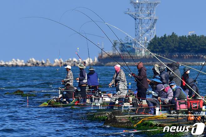 17일 오후 경북 포항시 송도해수욕장 방파제에서 강태공들이 제철 생선인 숭어와 전어를 잡고 있다.2023.10.17/뉴스1 ⓒ News1 최창호 기자