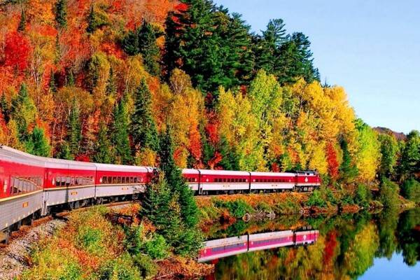 출처: 온라인커뮤니티 (세계 단풍 여행 명소)