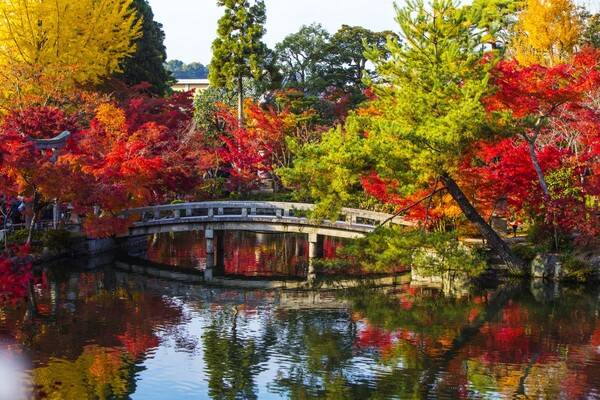 출처: 게티이미지뱅크 (세계 단풍 여행 명소)