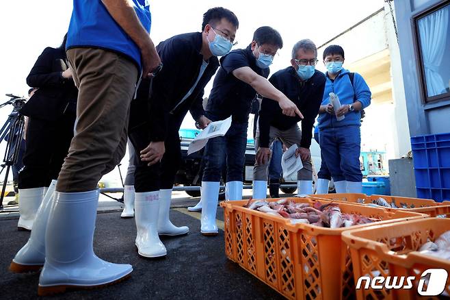 19일(현지시간) 국제원자력기구(IAEA) 전문가들과 한국, 중국, 캐나다 출신 과학자들이 방사성 물질 검사를 위해 연안에서 잡은 생선 등을 관찰하고 있다. 2023.10.19 ⓒ 로이터=뉴스1 ⓒ News1 정지윤 기자