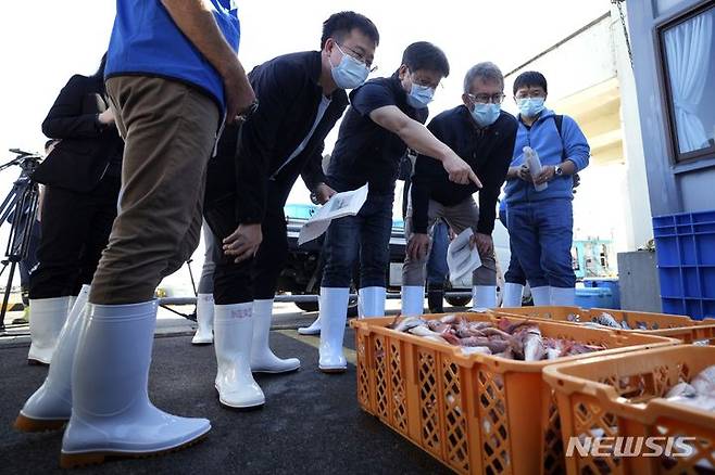 [이와키=AP/뉴시스]중국, 한국, 캐나다의 과학자들과 함께 국제원자력기구(IAEA) 전문가팀이 19일 일본 동북부 이와키의 히사노하마항에서 열린 오전 경매에서 이 일대에서 잡힌 어류를 관찰하고 있다. 2023.10.19.