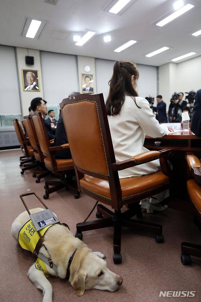 [서울=뉴시스] 조성봉 기자 = 김예지 국민의힘 최고위원의 안내견 조이가 19일 오후 서울 여의도 국회에서 열린 최고위원회의에서 휴식을 취하고 있다. 2023.10.19. suncho21@newsis.com