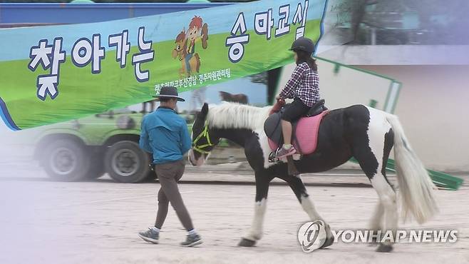 승마체험(CG) [연합뉴스TV 제공]