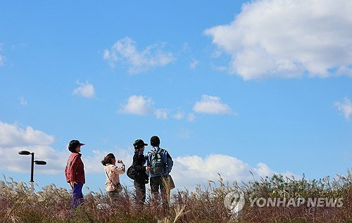 서리가 내린다는 절기상 상강을 나흘 앞둔 20일 오후 서울 마포구 하늘공원을 찾은 시민들이 가을 나들이를 즐기고 있다. 21일 북서쪽 찬 공기가 남하하면서 전국 아침 기온이 3~8도가량 큰 폭으로 떨어지며 바람도 강하게 불어 체감온도가 떨어질 것으로 예상된다. [연합뉴스]