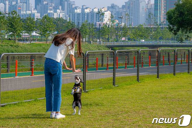 안양천 반려견 쉼터에서 견주와 반려견이 노는 모습(서울관광재단 제공)