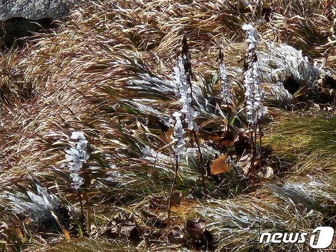 21일 제주 한라산 백록담에 올 가을 첫 상고대가 관측됐다.(한라산국립공원관리소 제공)/뉴스1