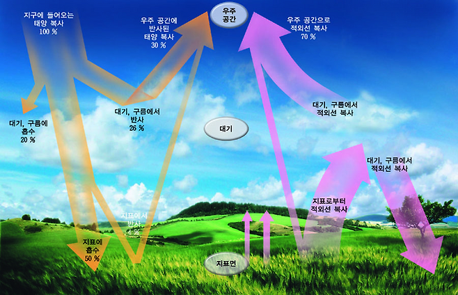 이 그림을 기억하신다면 그래도 학창시절 공부 열심히 하신 겁니다. <사진=금성출판사>