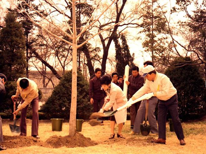 1976년 박정희 대통령이 청와대 경내에서 큰딸 근혜(가운데), 아들 지만씨와 함께 기념식수를 하고 있다. /국가기록원