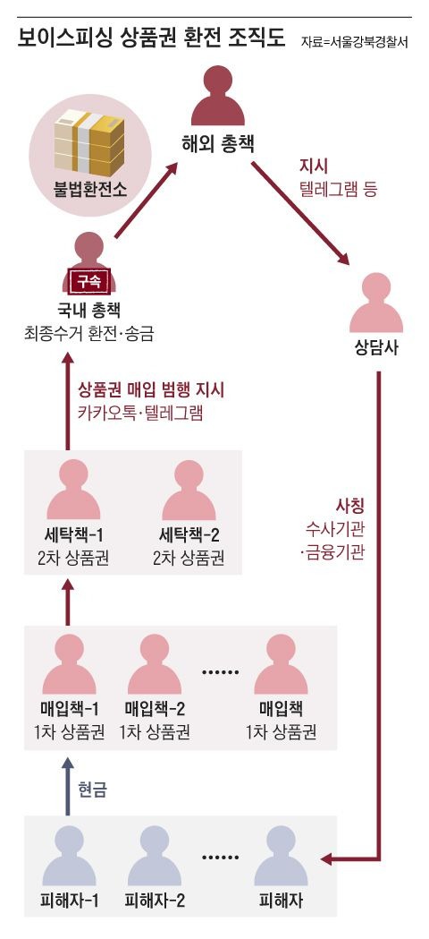 그래픽=조선디자인랩 이연주