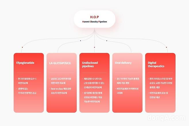 한미약품이 제시한 비만 전주기 치료 프로그램 ‘H.O.P 프로젝트’ 개념