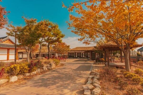 출처 = 온라인 커뮤니티