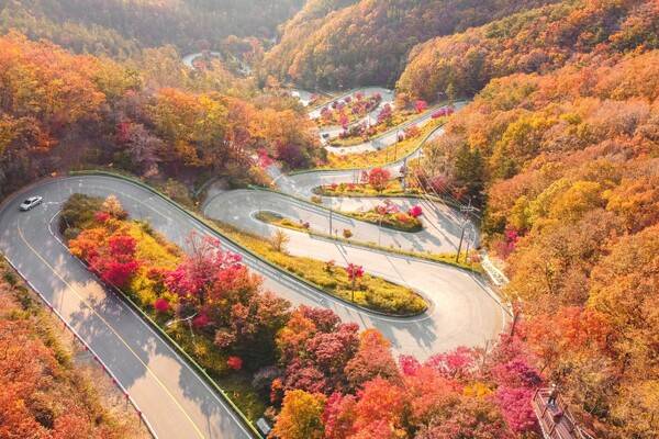 출처 = 한국관광공사