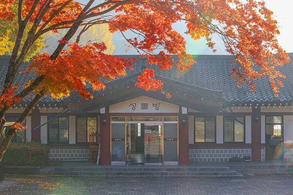 출처 = 온라인 커뮤니티