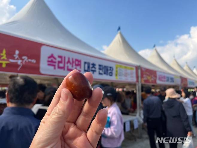 2023보은대추축제.