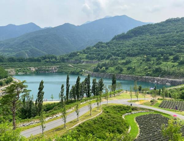 온라인 커뮤니티