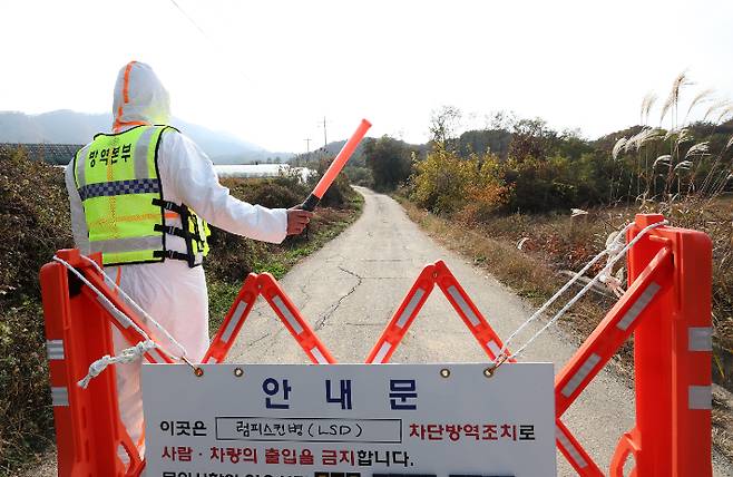 24일 소 바이러스성 질병인 '럼피스킨병' 확진 판정을 받은 강원 양구군의 한 축산농가 입구를 방역 당국 관계자가 통제하고 있다. 연합뉴스