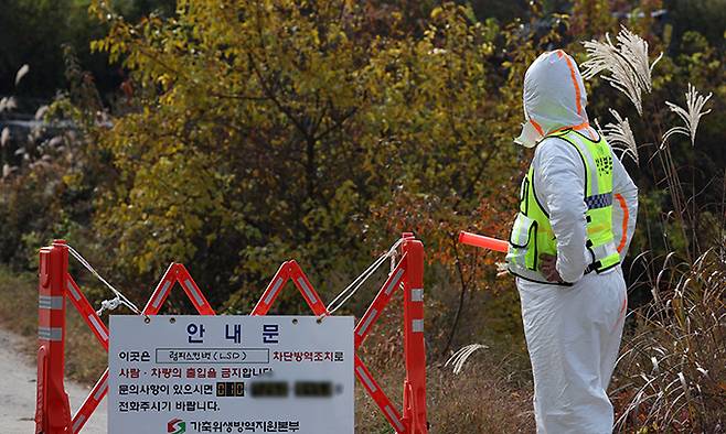 24일 소 바이러스성 질병인 '럼피스킨병' 확진 판정을 받은 강원 양구군의 한 축산농가 입구를 방역 당국 관계자가 통제하고 있다. 연합뉴스