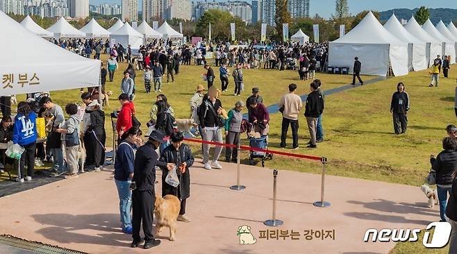 피리부는 사나이 '함께할개, 묘한축제' 현장(에임드 제공) ⓒ 뉴스1