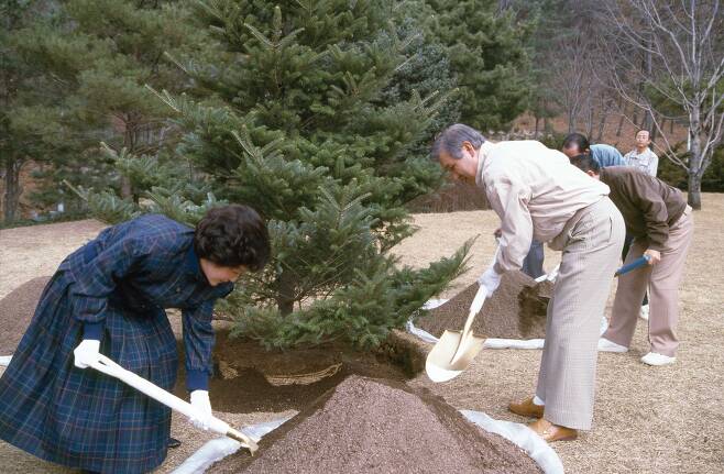 노태우 대통령이1988년 식목일에 구상나무를 기념식수하고 있다. /국가기록원