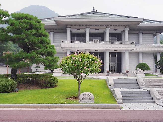 김대중 대통령이 제1차 남북정상회담을 기념해 2000년 6월 17일 영빈관 앞에 기념식수한 무궁화. /눌와