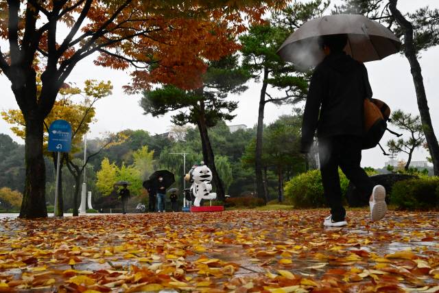 ▲ 강원대학교 춘천캠퍼스에서 학생들이 우산을 쓴 채 강의실로 향하고 있다.[강원도민일보 자료사진]