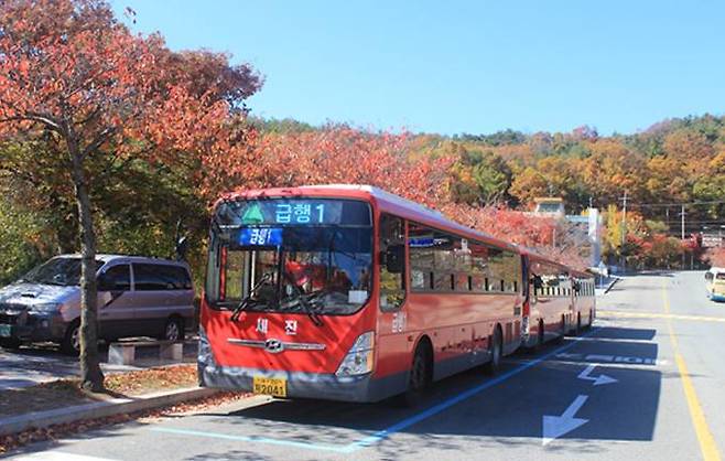 대구시가 단풍철 팔공산을 찾는 시민들을 위해 11월 둘째 주까지 토·일요일 급행1번 노선을 증회 운행한다. (대구시 제공) 2023.10.25