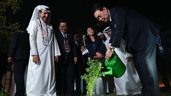 카타르 국왕이 선물한 나무에 물 주는 윤석열 대통령