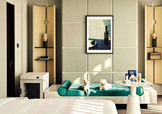 조선팰리스 서울 강남의 반려동물과 함께하는 펫키지(펫+패키지) ‘NIGHT OUT WITH MY PET’. [신세계그룹 제공]