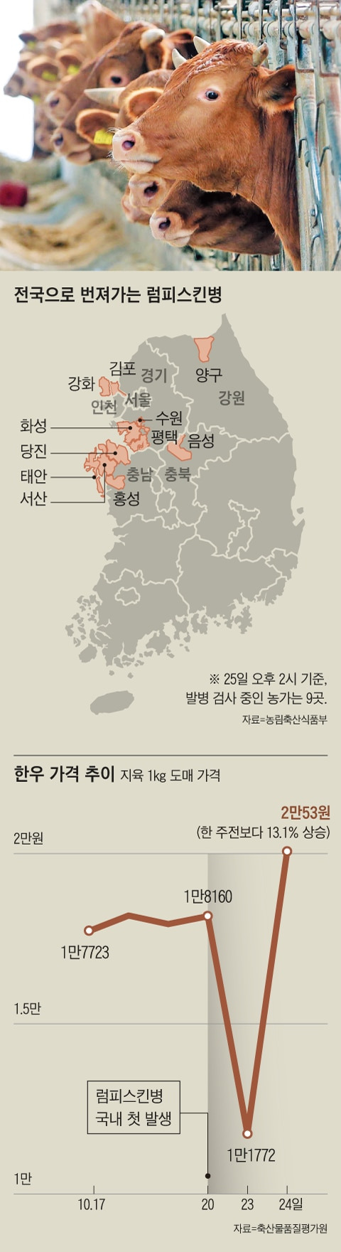 그래픽=양진경