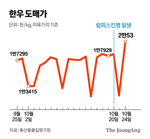 김영옥 기자