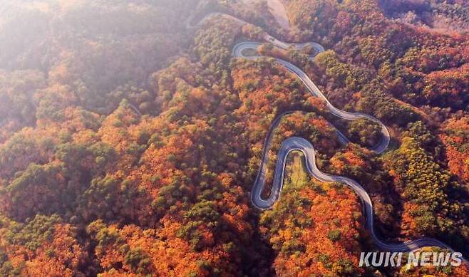 아직 늦지않았다. 강원도 단풍을 즐기고 싶다면 이번 주말, 무조건 설악산이나 오대산 방향으로 떠나면 된다.