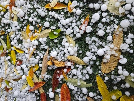 ▲ 경기 남양주시 다산동에 떨어진 우박. 연합뉴스