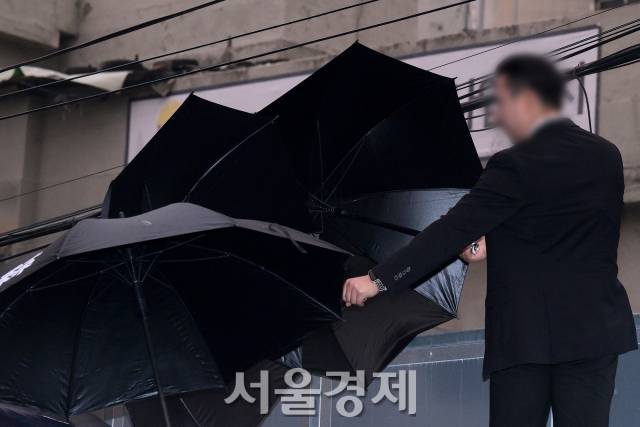 팬들은 이에 반발하며 고성으로 욕설을 뱉었다