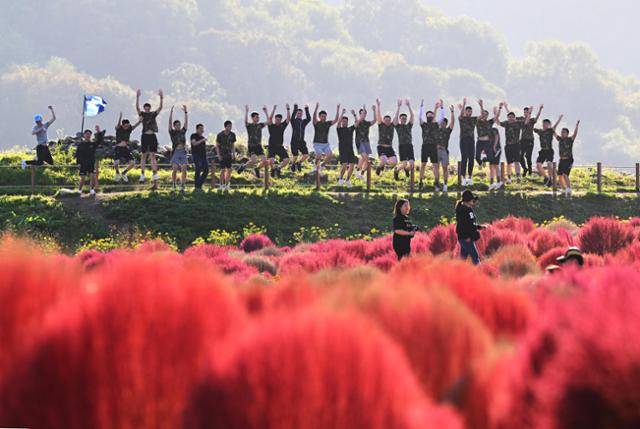 경기 연천군 댑싸리공원을 찾은 인근 군부대 부대원들이 단체 사진을 찍고 있다.