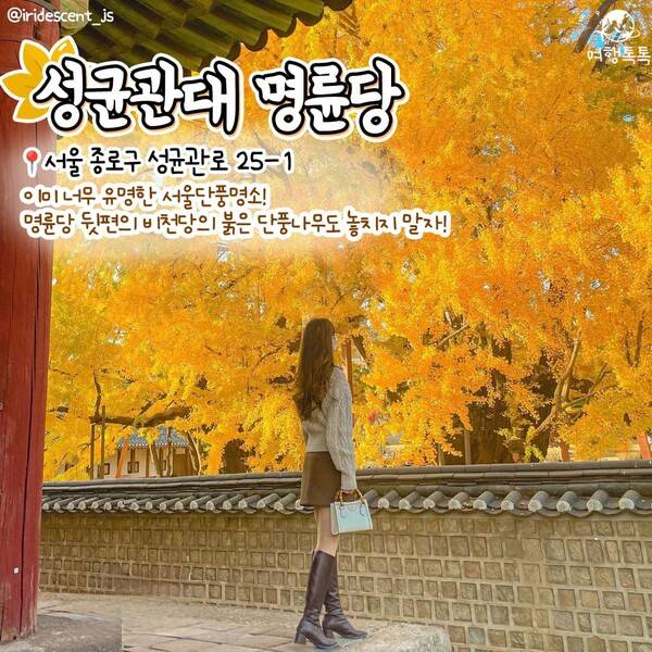 2023 서울 단풍 명소 / ⓒ여행톡톡