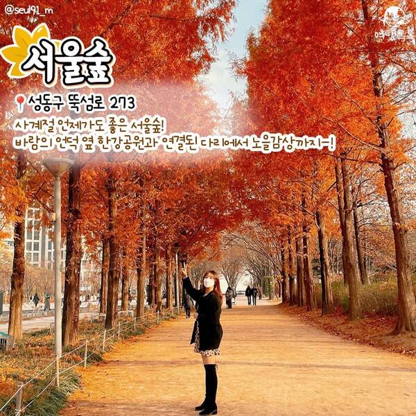 2023 서울 단풍 명소 / ⓒ여행톡톡