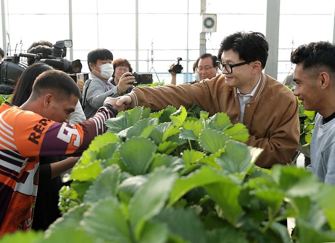 한동훈 법무부 장관이 30일 전북 완주군 삼례읍의 한 딸기재배 농장을 방문해 계절근로자들과 의견을 나눈 뒤 인사하고 있다. /법무부