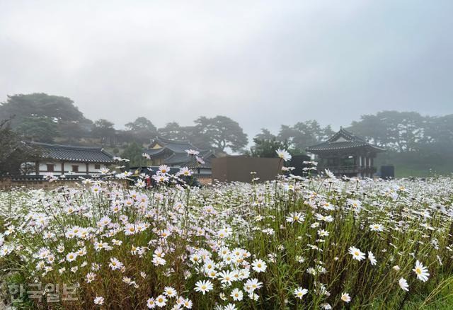 함양 개평한옥마을 인근의 남계서원. 최흥수 기자