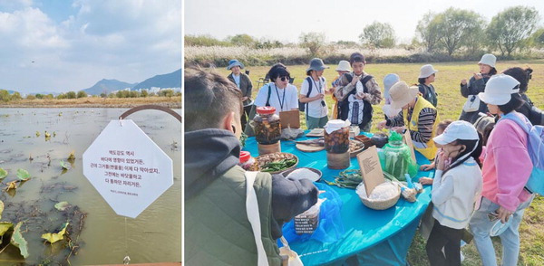 실험실 씨(Lab C)의 2023 프로젝트 ‘짠 것들의 연결망’이 지난 27~29일 부산 강서구 맥도생태공원에서 전시됐다.  최승희 기자