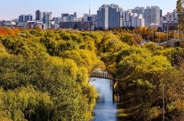 온라인 커뮤니티